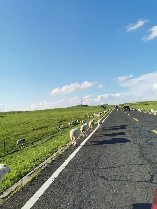 5-Day Qinhuangdao-Chifeng Travel Guide—Save It Now!