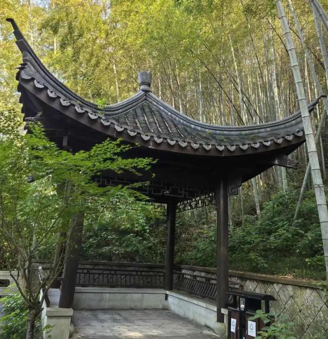 春天最適合上的山，可以無腦衝……