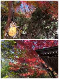 日本草津市旅遊詳細攻略