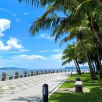 🌊【周末好去處】深圳灣公園觀鳥賞日落攻略 