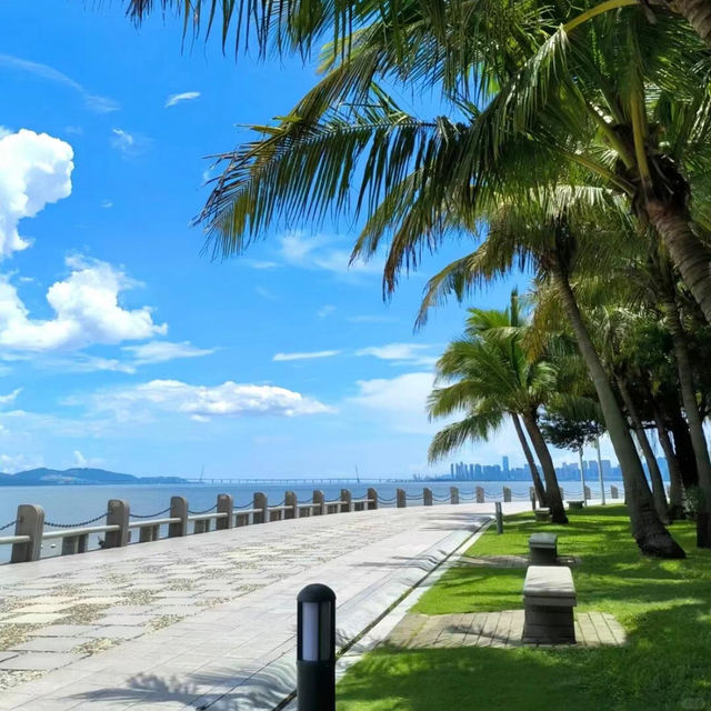 🌊【周末好去處】深圳灣公園觀鳥賞日落攻略 
