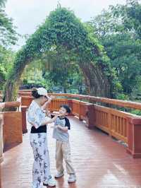 清邁夜間動物園丨遛娃好去處 動物愛好者友好 快去快去