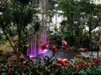 RING mall, Forest in the city