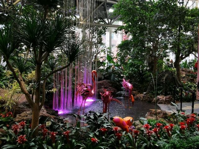 RING mall, Forest in the city