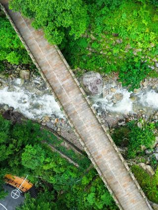 Discover a Hidden Paradise of Azaleas in the Ancient Forests Near Hefei