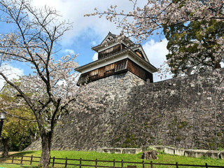 Fukuoka to Kumamoto Two-Day Adventure: Ancient Castle, Volcano, and Grassland Symphony.