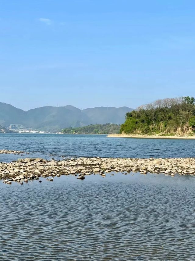 【江浙滬小阿勒泰｜四明湖春日草原寫真秘笈】