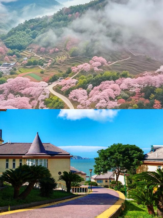 台州嘅春天，真係贏到開巷。