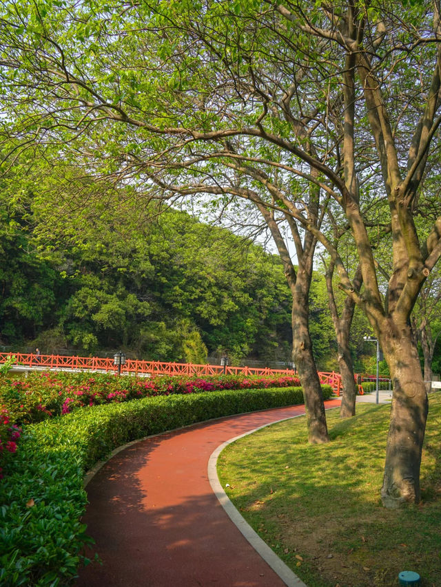 分享廣州大金鐘水庫