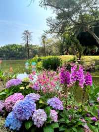深圳人民公園 | 莫奈秘境花園🫧春日氣氛感  這是深圳市內最早的公園之一，安靜人少，閒暇時來這