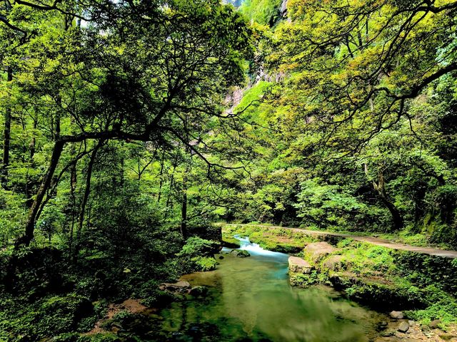奇峰入畫‧雲海滌心：張家界國家森林公園的仙俠秘境之旅