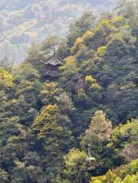 I saw the World's Tallest Bronze Seated Maitreya