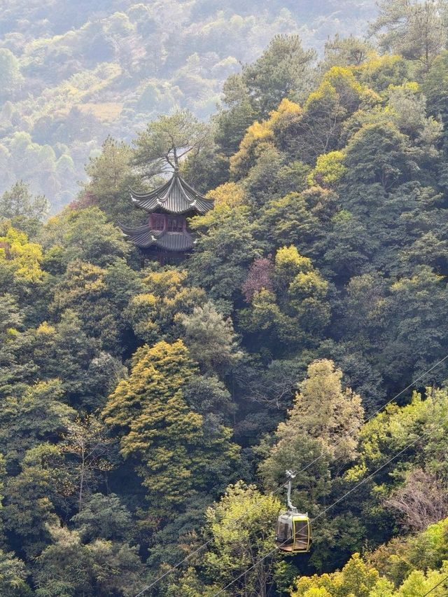I saw the World's Tallest Bronze Seated Maitreya