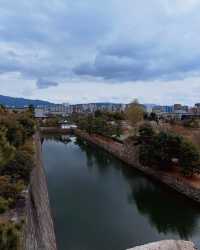 在二條城時空漫遊，解鎖將軍的春日度假庭園