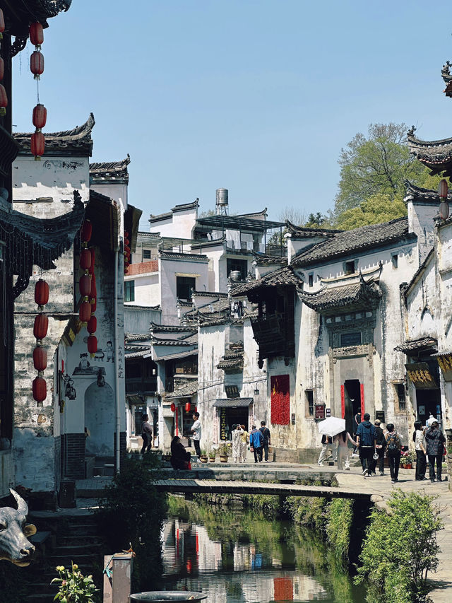 韓劇同款油菜花海|春日婺源超全旅遊攻略