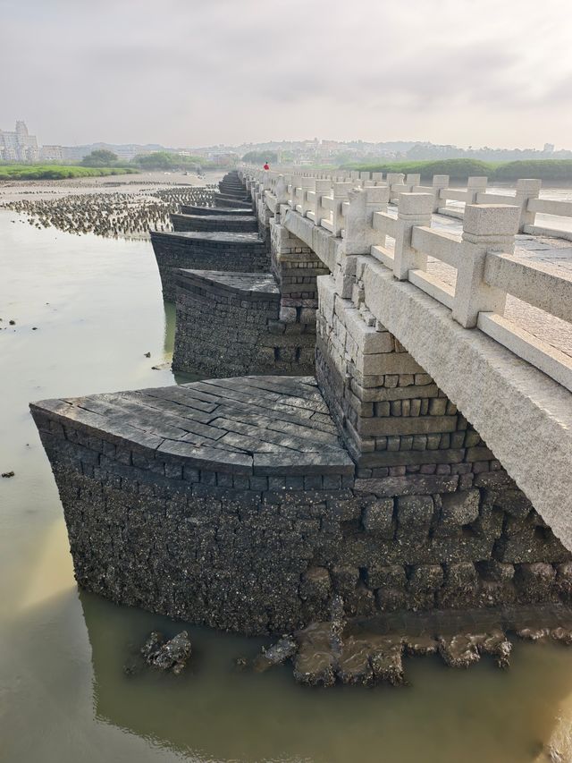 中國四大名橋之一｜洛陽橋（3012）
