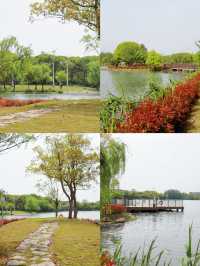五一短途度假｜親子遊住進昆山濕地氧吧酒店