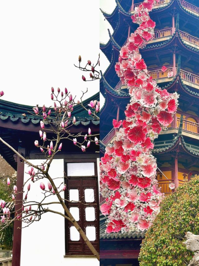 真的愛慘了這一派春和景明