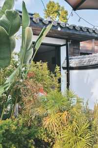 春日限定，古厝入面嘅寫意慢時光