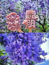 你仲未去過藍到發紫嘅花海㗎嘛？