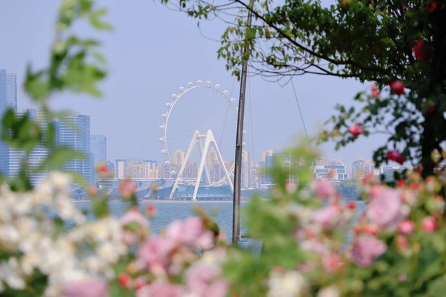 天啊蘇州竟藏着一個“海邊莫奈花園”