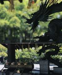 日本行·神戶周邊姬路城。
藍天下如白鷺高飛