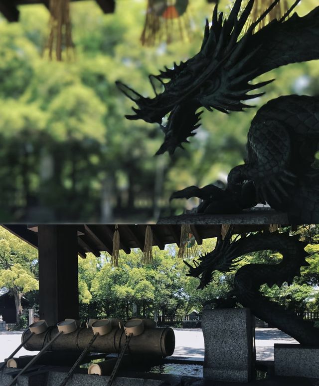 日本行·神戶周邊姬路城。
藍天下如白鷺高飛
