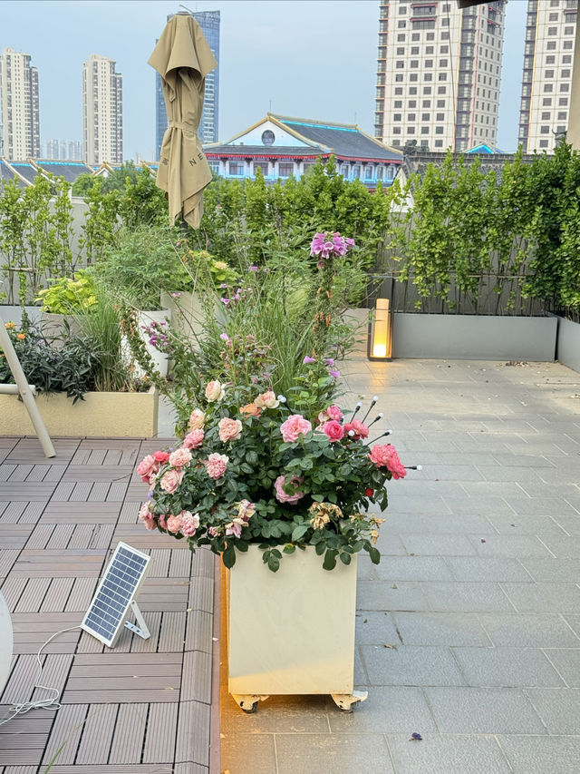 住過一次就瘋狂推薦嘅棲鳥酒店，你仲唔嚟
