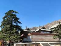 內蒙古包頭美岱召 | 城寺合一的明代邊塞史詩