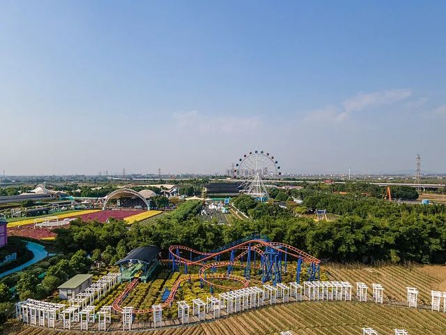多瑪樂園詳細攻略！