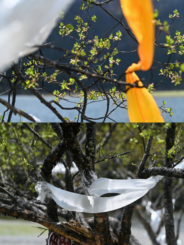 解鎖香格里拉徒步秘境·無底湖