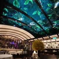 澳門美食 | 星空頂下的絕美葡餐體驗——「MESA·味賞」