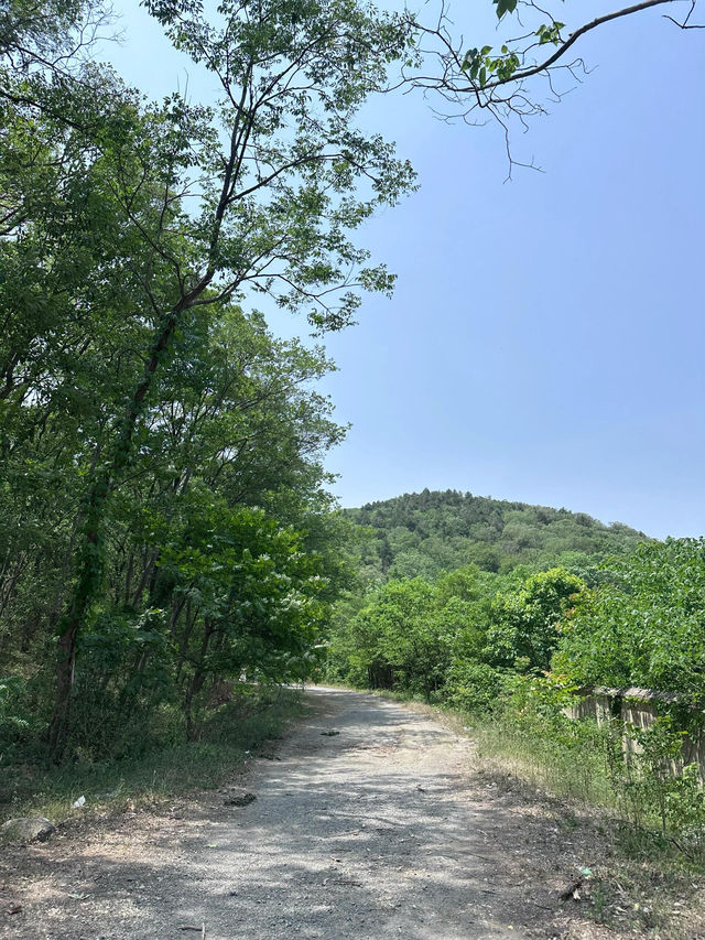 滁州白米山 我都嚟啦