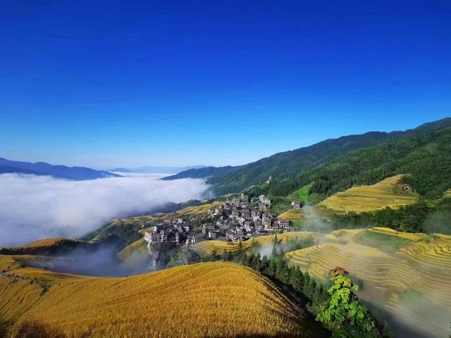 隱沫酒店｜住進梯田畫卷，枕星入眠的雲端秘境！