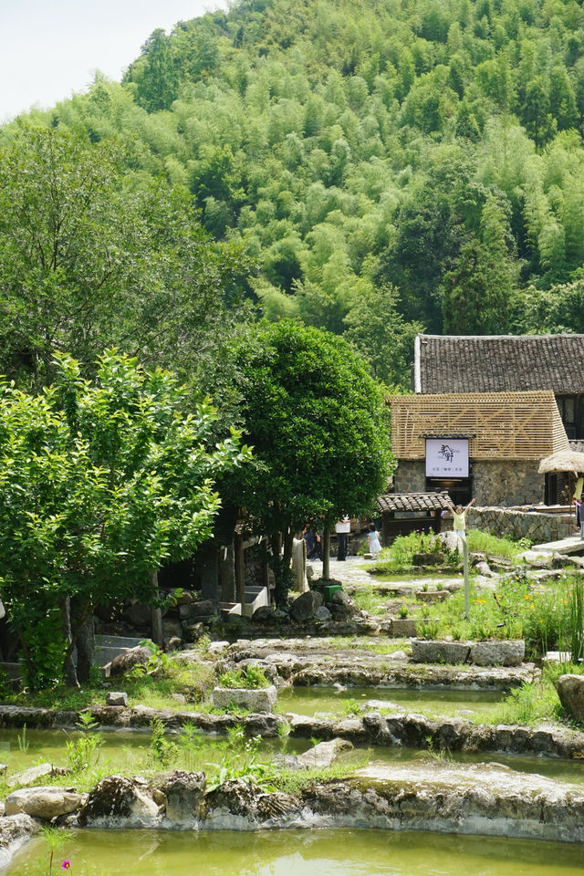 溫州｜我宣佈呢度係溫州最有格調嘅鄉村