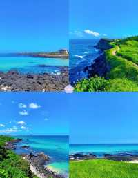 濟州島拍照聖地TOP5山君不離涉地可支月汀里