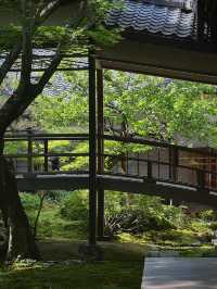 🌿【京都·常寂光寺】— 隱世古寺中的禪意漫遊 🌿