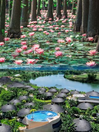 Nanning is Hidden Too Well! Summer is a Colorful World🫧