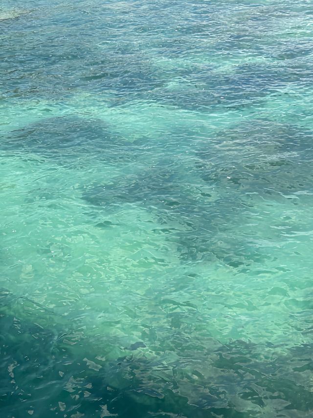 西島旅行日記