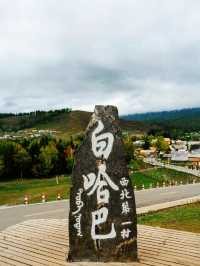 白哈巴村全攻略：中國西北邊境村的童話世界