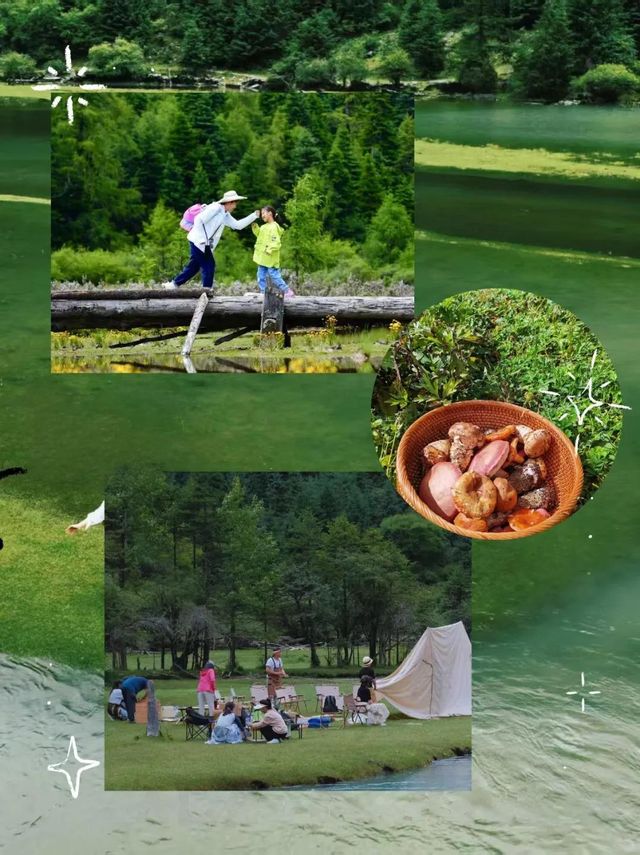 川西親子遊，帶娃不懼高山症嘅保姆級攻略
