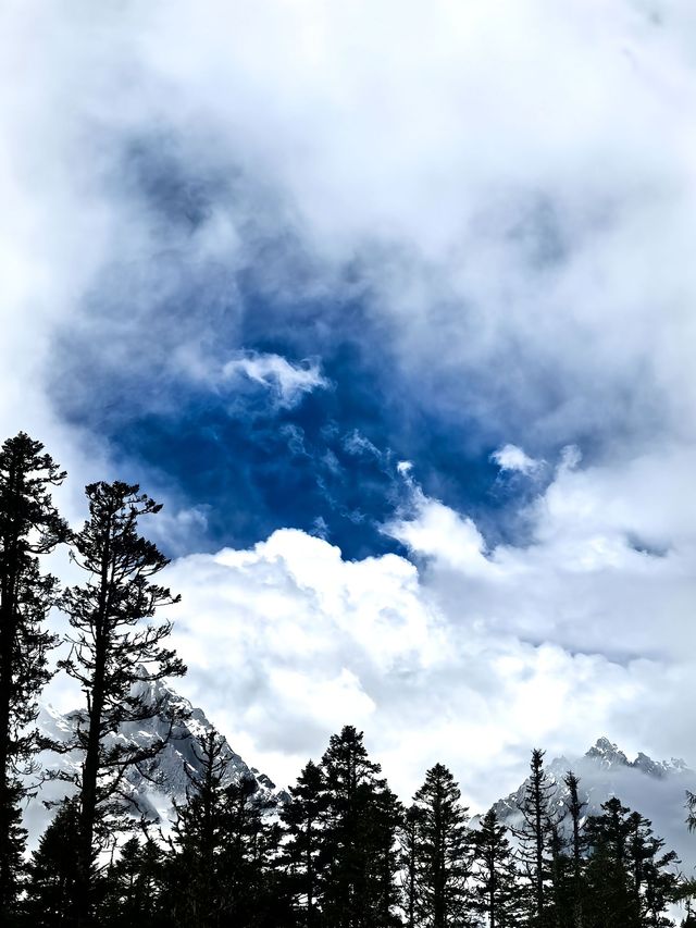 現實版冰雪奇緣