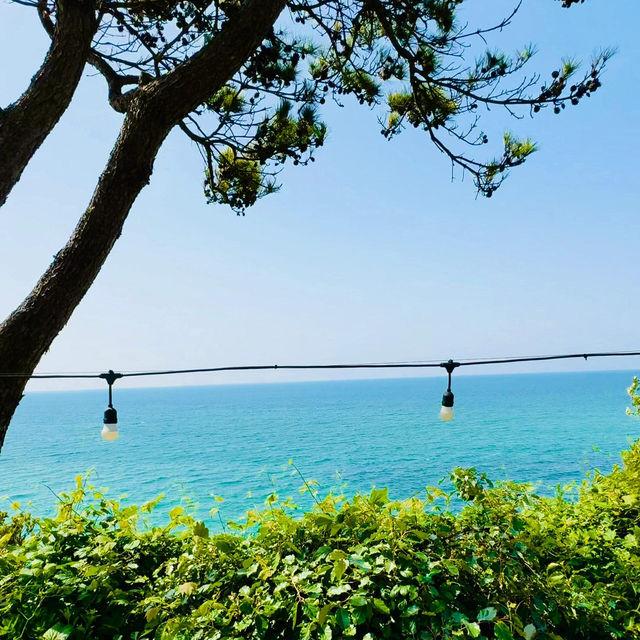 濟州島酒店天花板！躺著無邊泳池看果凍海🌊