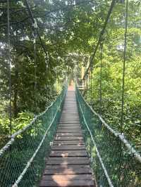 Eco park in the heart of KL