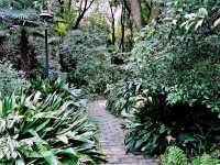 Wuhan Botanic Garden: Where Science, Conservation, and Botanical Splendor Converge