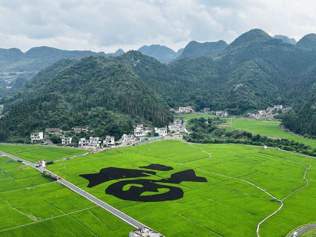興義昆明9日遊--自然奇觀巡禮
