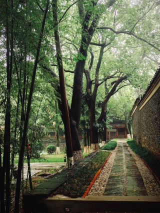 Hidden Secret: Li Bai's Tomb Budget Travel Guide for Students Must-See
