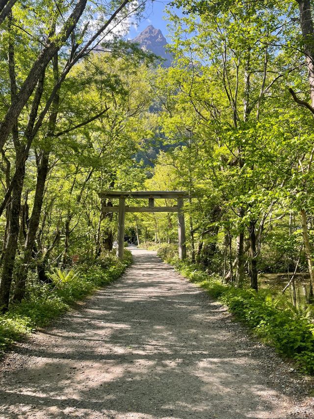 上高地嘅初夏物語｜闖入日本阿爾卑斯嘅藍綠幻境