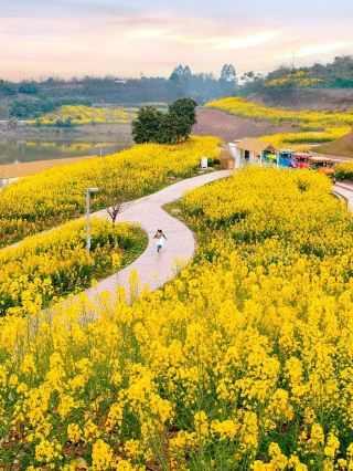 Yibin Travel Guide: A Perfect Encounter of Scenery, Culture, and Cuisine