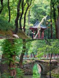 茅山：洞天福地間嘅千年道韻